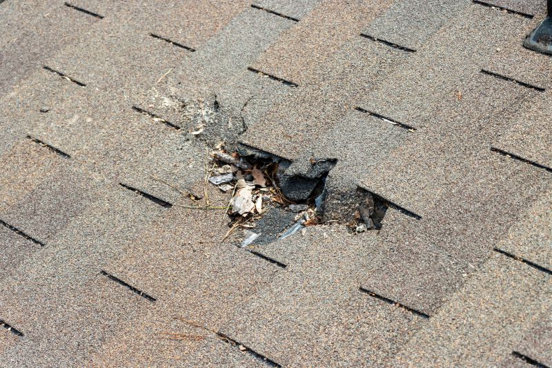 Damaged Roof Replacement in Grand Isle, VT